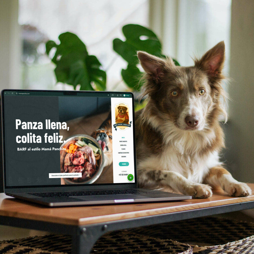 Mama Pancha_edited (1) Mama Pancha_edited (1)